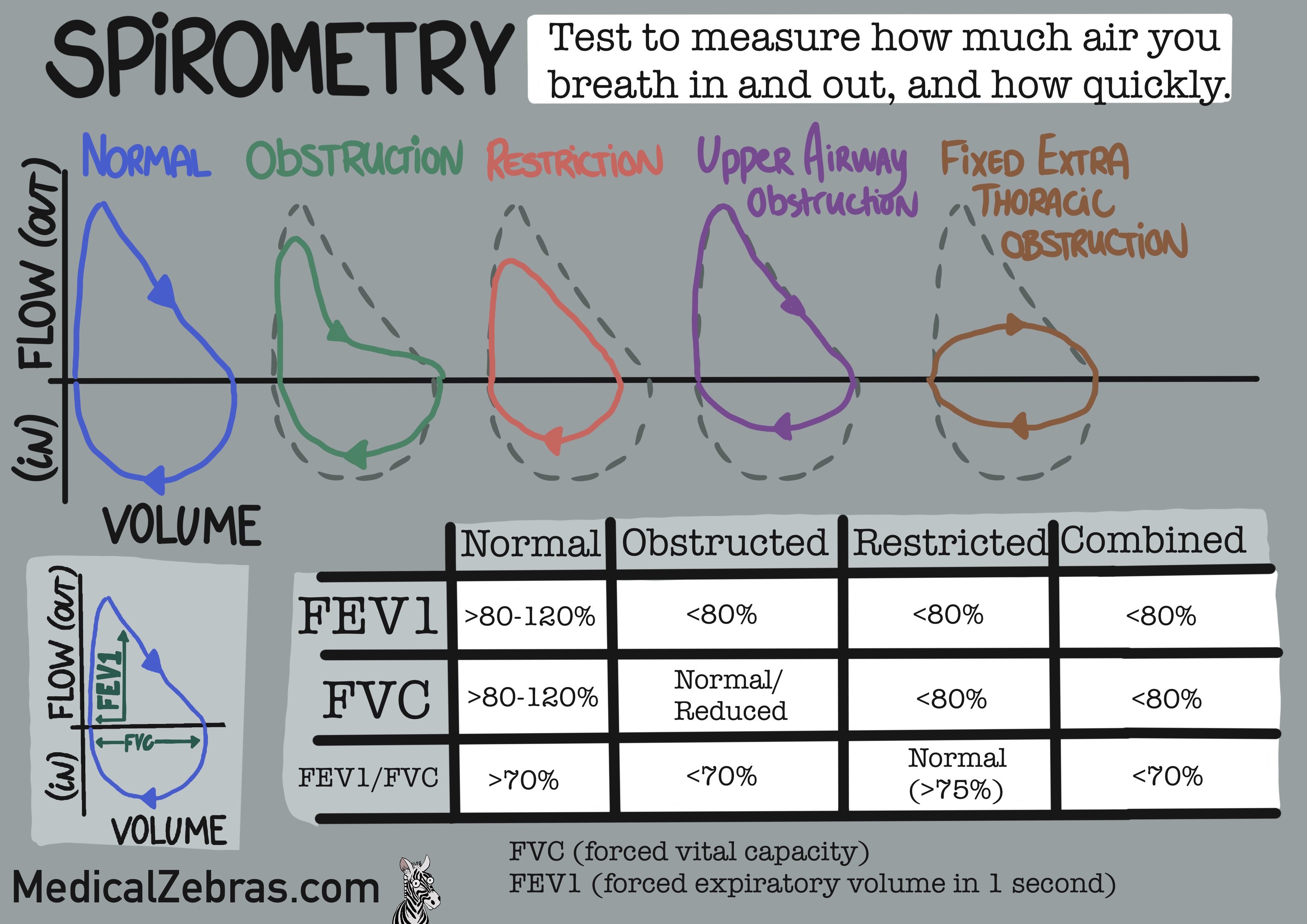 Spirometry graph explained, simple drawing